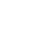 LogoSinaes